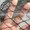 Green Bird Netting For Agriculture and Vineyard