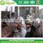 Customized tuna fish processing plant with high quality