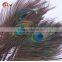 Factory Wholesale blue peacock feather for sale cheap