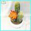 25cm high quality real touch names of cactus plants