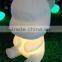 Led light Art crafts with with remote control YXF-3653B