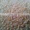 New Crop Garlic Granules Approved with FDA/QS/ISO/HACCP/KOSHER