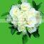 Export natural hot sale fresh cut white roseflowers