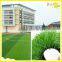 Gymnasium use synthetic grass