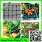 Supply 2016 100% virgin pe Extrded black quality Garden bird netting for tomatoes/grapes/strawberries/blueberries
