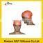 World best selling products stretchable swimming cap silicone