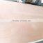 12MMX1220X2440 poplar core hardwood core okoume face BB/CC grade competitive price commercial plywood