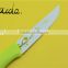 8" Flower printing good quality Europe market fruit knife BD-K6622