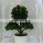 Hot sell mini artificial plant bonsai,artificial plants wholesale