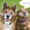 2015 fashion mini necklace gps tracker for pets with App tracking