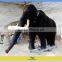 Fiberglass Model Animal from Marasuchus Dinosaur Seller