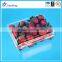 Vegetable and fruit plastic packaging blister trays and container