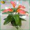 Wholesale Mini Decorative Artificial Bonsai Plants