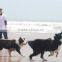 UFO frisbee disk Children flying disc for dog