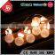 TZFEITIAN newest design high quality promotional holiday light
