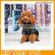 Dog Pet Products, Dog Apparel