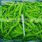 fresh sugar snap pea snow bean