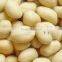 High Quality Blanched Peanuts