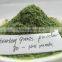 Dried barley grass powder and low price dried barley grass powder