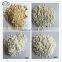 Cacti Soil Diatomaceous Earth Diatomite Food With Competitive Price