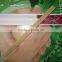 Paper packing disposable bamboo chopsticks