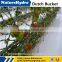 Chinese Factory Hydroponics Dutch Bucket For Farming