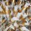 aluminium lotion pump 24/410, gold color closure lotion pump 28/410, shiny closure of aluminium pump