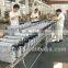 single stage structure Rotary blade Vacuum Pump(oil sealed) for vacuum packing machine