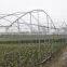 Economical plastic green house for Agricture