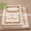 Biodegradable Electronic Products Packages From Bagasse