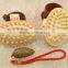Cy302 Cellulite Circulation Massage Brush Hot Selling on Amazon