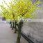 Atificial golden peach blossom flower tree for home decoration fiberglass trunk