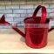 Unique decorative watering can
