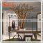 leafless tree branches tree branches without leaves tree branches for centerpieces
