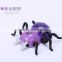 Wholesale toy rc climb wall animal spider king climb wall spider
