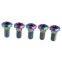 Titanium Motor Rear Brake Rainbow Rotor Bolt Screw M8 x 20mm GR5 Ti6Al4V Titanium Motor Rear Brake Rotor Bolt