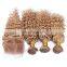 Brazilian hair double drawn blonde color deep wave weave human hair