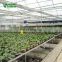 New Production Greenhouse Planting Trays Benches With Plastic Trays