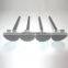 For TD06 engines spare parts intake exhaust valve for sale