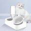Amazon Hot Sell Dogs Cats Double Bevel Bowls Pet Feeder Eco-friendly Plastic Water Disposer