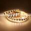 CCT color changing light emitting 4000k led 50 50 smd led addressable white led strip adjustable led lights