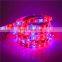 Full spectrum plant Grow LED Strip Light 5M 5050 LED Flower Plant  Growth lamps For Greenhouse Hydroponic Plant Growing