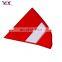 B11 3732010/020 Car B11 rear tail lamp cover Auto parts B11 rear tail light cover for b11 chery eastar