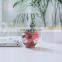 Handmade Jingdezhen Ceramic creative paint pots