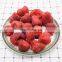 Sinocharm Good Taste Dried Red Fruit Strawberry Whole From Factory FD Strawberry