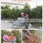 Shuliy Almond hazelnut Walnut Shelling Machine Almond Walnut Breaking Machine
