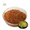 Green Tea Polyphenols Powder Bulk Natural Organic Green Tea Extract Powder Tea Polyphenol