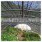 6PIN 80% Shading Green Sun Shade Net Anti-UV HDPE Fabric Agriculture Greenhouse Garden Plants Sunblock Shadow Netting