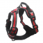 Pet reflective chest strap / pet traction rope / dog rope / dog vest / Pet vest / chest strap
