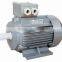 Three Phase electric Motor/Induction Motor/Y Series Motor for sale
